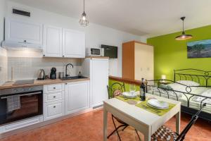 Kuchyň nebo kuchyňský kout v ubytování Studio Apartment