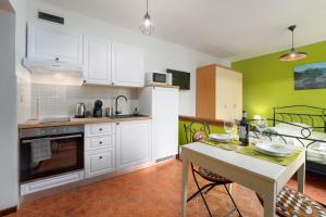 Kuchyň nebo kuchyňský kout v ubytování Studio Apartment