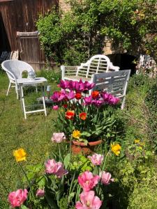 Zahrada ubytování Gartenblick im Schwalbennest