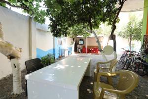 Fotografie z fotogalerie ubytování Hostel Osho v destinaci Tirana