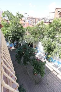 an overhead view of a garden with trees and chairs at Hostel Osho in Tirana