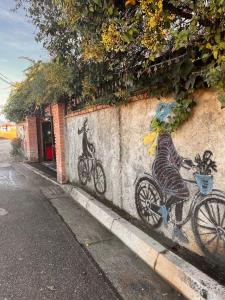 a wall with a painting of a dog on a bike at Divina Hostel in Tirana +15 photos