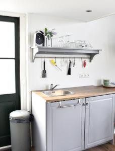 une cuisine avec un évier et un comptoir dans l'établissement Pronkhuisje, à Oterleek