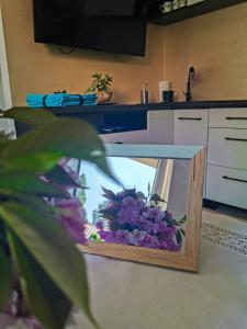 Telewizja i/lub zestaw kina domowego w obiekcie Zakątek Słoneczny pod Baranią Górą