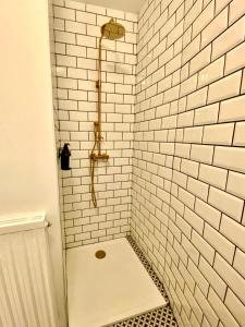 a bathroom with a shower with white subway tiles at L'Epinette - appartement T3 hypercentre Albi in Albi