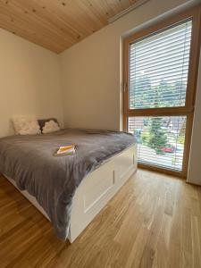een slaapkamer met een bed en een groot raam bij Bodenseeblick Dornbirn in Dornbirn