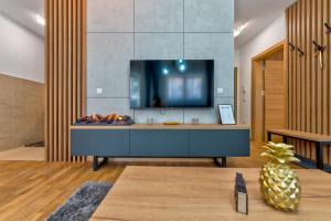 TV a/nebo společenská místnost v ubytování Lazy Bear Moderan Spa na Planini