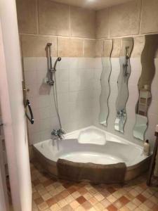 Ένα μπάνιο στο Charmant appartement atypique Boulogne Billancourt