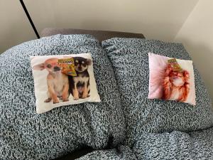 Domácí mazlíčci ubytovaní s hosty v ubytování Apartment Varnsdorf Nr.1