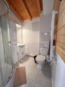 a bathroom with a toilet and a shower and a sink at Le Saint Jo - La Féclaz in Les Déserts