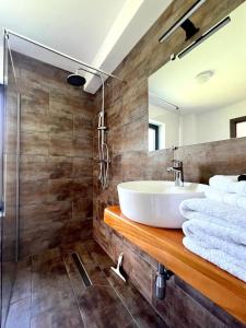 W łazience znajduje się umywalka i prysznic. w obiekcie Transylvania House w mieście Moieciu de Jos