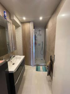 un bagno con doccia, lavandino e un cane di Luxo'Beach Appart a Cavalaire-sur-Mer