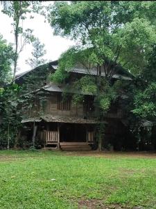 a house with a tree in front of it at Kampung 99 in Sawangan-hilir