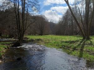 Afbeelding uit fotogalerij van Fichtenloft in Heinersdorf