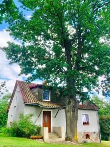 una pequeña casa blanca con un árbol delante en Willa Pod Dębem en Koczarki
