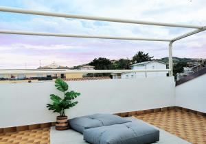 a balcony with a potted plant on a white wall at Holihome Gorycia House FRN in Alba Adriatica