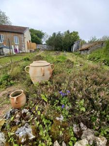 Ảnh trong thư viện ảnh của Logis des Pivoines ở Trézelles +32 ảnh