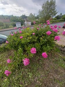 Ảnh trong thư viện ảnh của Logis des Pivoines ở Trézelles