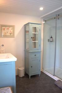 a bathroom with a blue cabinet next to a shower at Maison Bloomfield in Bloomfield