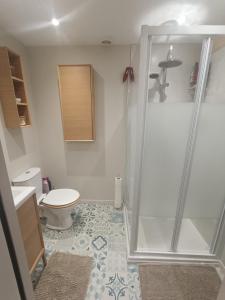 un baño con ducha y WC en L'échappée belle de l'Aubrac, en Saint-Chély-dʼAubrac