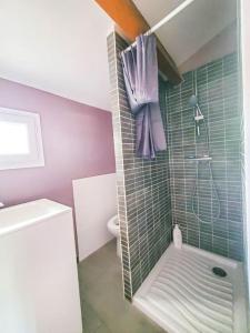 Un baño con ducha, lavabo e inodoro. en Maisonnette avec extérieur avec parking, en Saint-Jean-de-Védas