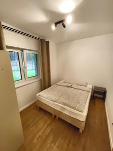 a bedroom with a bed and two windows at Apartament Szum in Susiec