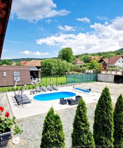a swimming pool in a yard with trees at Casa de Vacanta Diana Turnu Rosu in Turnu Roşu