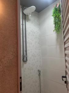 baño con ducha con una planta en la pared en Casa Suakasa Temporada Praia de Itaparica en Vila Velha