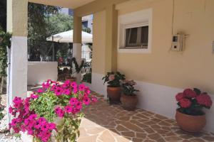 a group of flowers in pots on a patio at Moloha in Skala Kallirakhis
