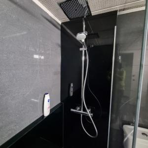 uma casa de banho com chuveiro e secador de cabelo em Magnifique appartement- Brussels expo Laeken em Bruxelas