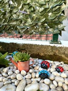 a rock garden with two lady bugs and a plant at Studios Heliva in Dubrovnik