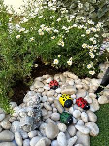 a garden with three lady bugs on rocks and flowers at Studios Heliva in Dubrovnik