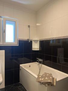 Koupelna v ubytování Apartment Meri