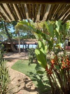 un jardín con zona de césped y sombrilla de paja en Pousada Coco Brasil, en Caraíva
