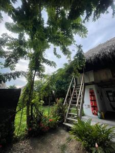 a staircase leading to a house with a thatch roof at Ipqua Hostel in Palomino