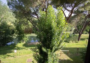 Foto dalla galleria di Sieve Suite - Quiet and elegant a Pontassieve
