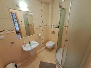 a bathroom with a sink and a toilet and a shower at Pensjonat Krystian in Chmielno +119 photos