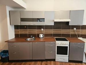 Fotografie z fotogalerie ubytování Apartments Žižkov 2c v Praze