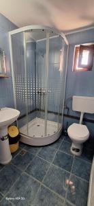 a bathroom with a shower and a toilet at Pensiunea Rustica La Avram Lunca Ilvei in Lunca Ilvei