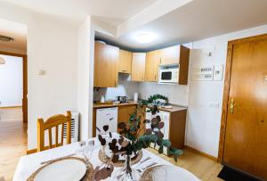 Kuchyň nebo kuchyňský kout v ubytování Apartamento familiar Canfranc Estación