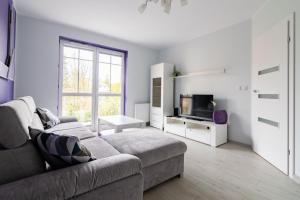 TV a/nebo společenská místnost v ubytování Apartament Olsztyn Rataja 62