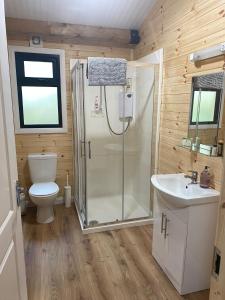 a bathroom with a shower and a toilet and a sink at Rosies Cabin Maum in Galway