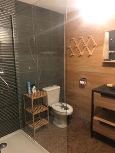 łazienka z toaletą i prysznicem w obiekcie CHALET CAPRICES DES CIMES w mieście Bolquere Pyrenees 2000