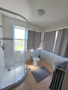 a bathroom with a shower and a toilet at Centenária in Oiã +41 photos