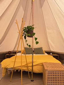 Gallery image of HogeScheure in Staden