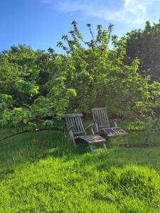 Gallery image of HogeScheure in Staden +7 photos