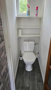 a small bathroom with a toilet and a window at Au Bois Fleuri in Bracieux +15 photos