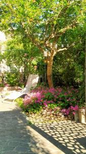 einen Garten mit rosa Blumen und einer Skateboardrampe in der Unterkunft la melagrana rossa in Quattro Castella