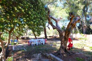 Zahrada ubytování Villa Maria in Puglia con pineta vicino al mare