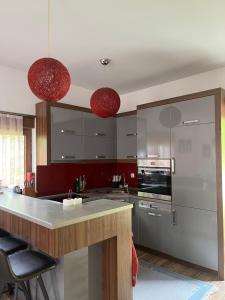 uma cozinha com electrodomésticos de aço inoxidável e duas luzes pendentes vermelhas em Villa in Brezovica em Brezovica